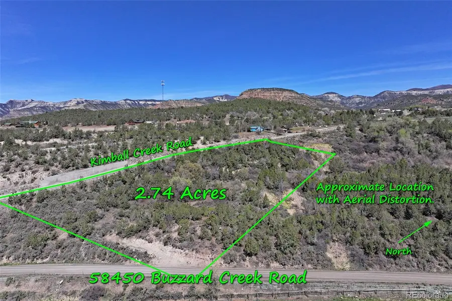 58450 Buzzard Creek Road, Collbran, CO 81624 - #2