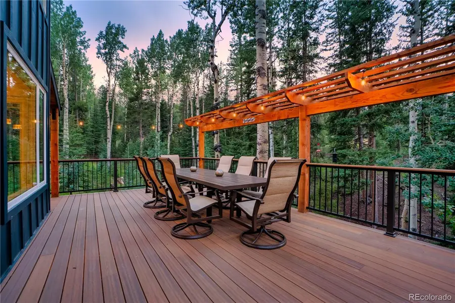 11203 S Barney Gulch Road, Conifer, CO 80433 - #2