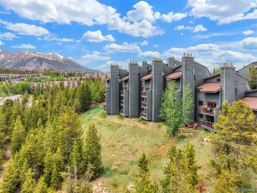 9460 Ryan Gulch Road #9461, Silverthorne, CO 80498 - #2