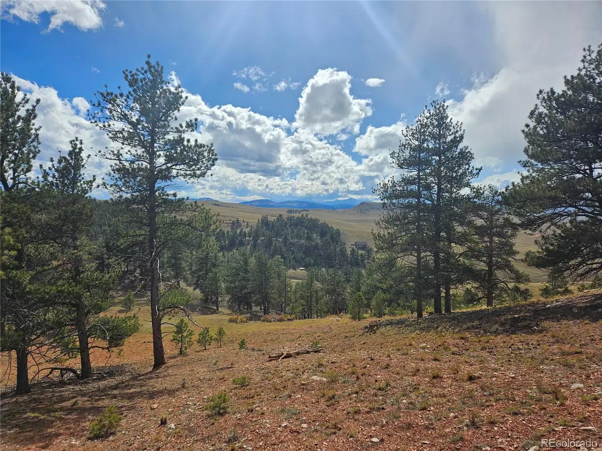 PCS#25252 Fernando Trail, Lake George, CO 80456 - Image #1