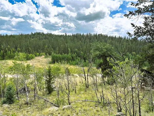 766 W Longbow Drive, Como, CO 80432
