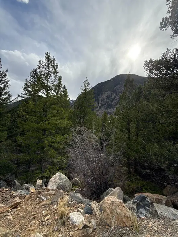 112 Skyline Road, Georgetown, CO 80444