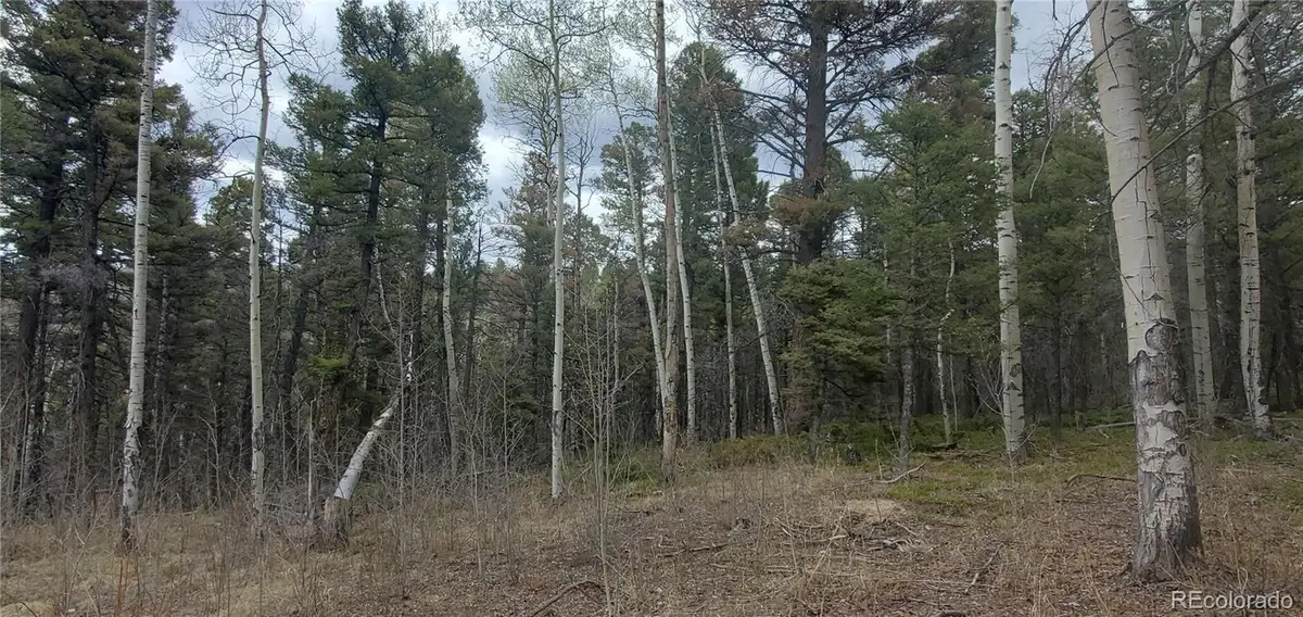 Lot 6090 Vreeland Road, San Luis, CO 81152 - #1