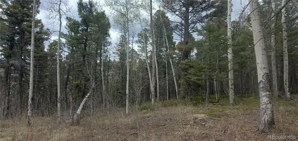 Lot 6090 Vreeland Road, San Luis, CO 81152