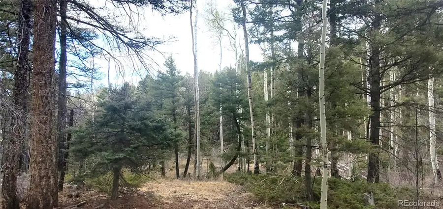 Lot 6090 Vreeland Road, San Luis, CO 81152 - #3