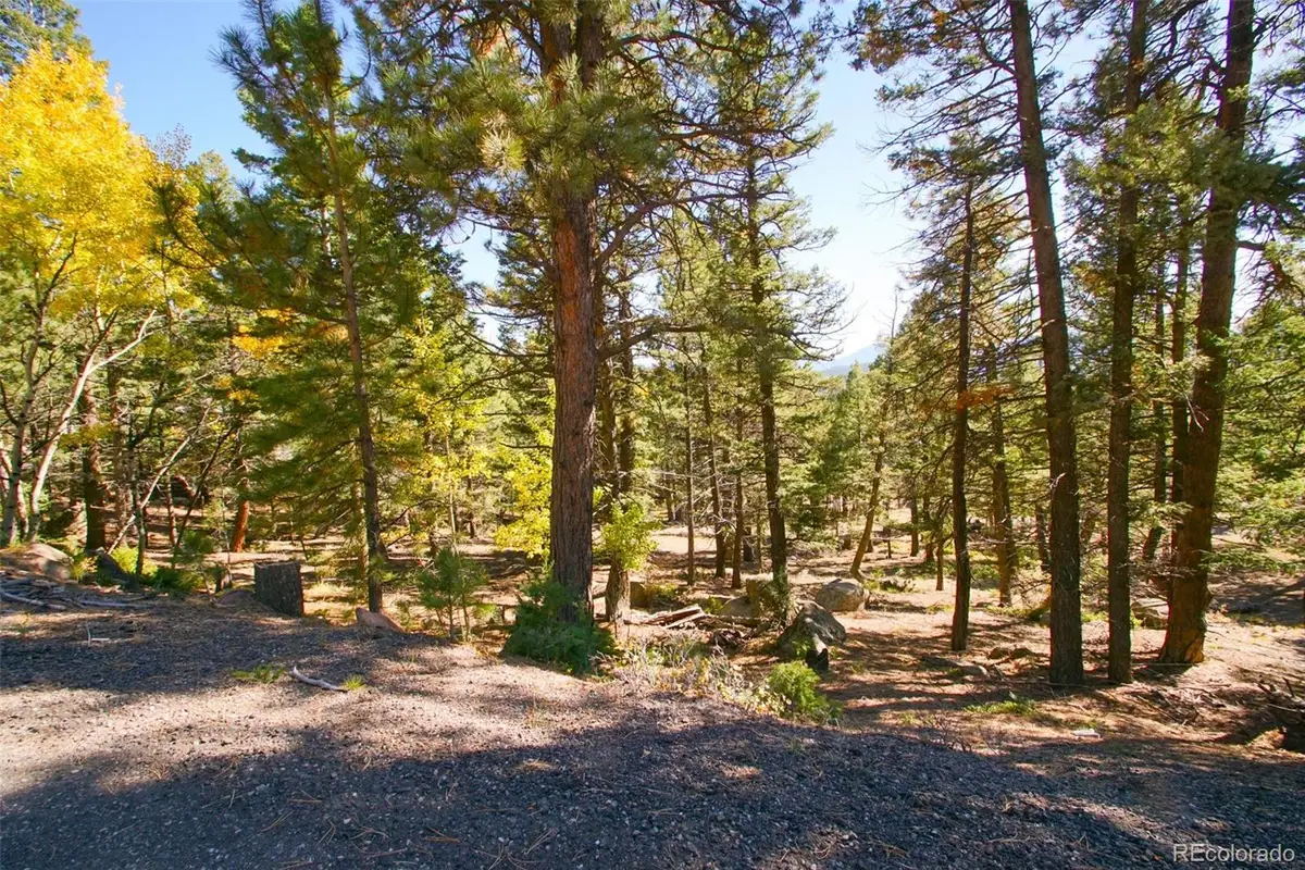 30402 Kings Valley E, Conifer, CO 80433 - #1