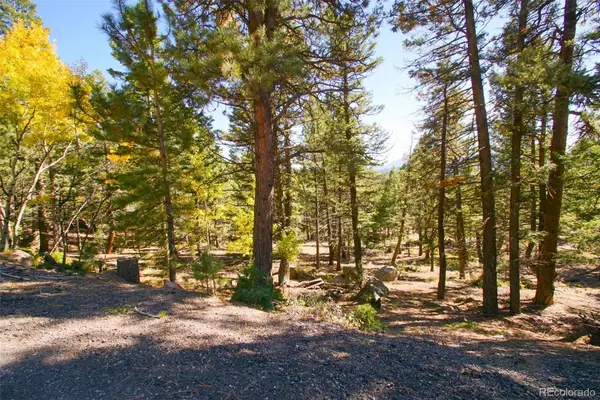 30402 Kings Valley E, Conifer, CO 80433