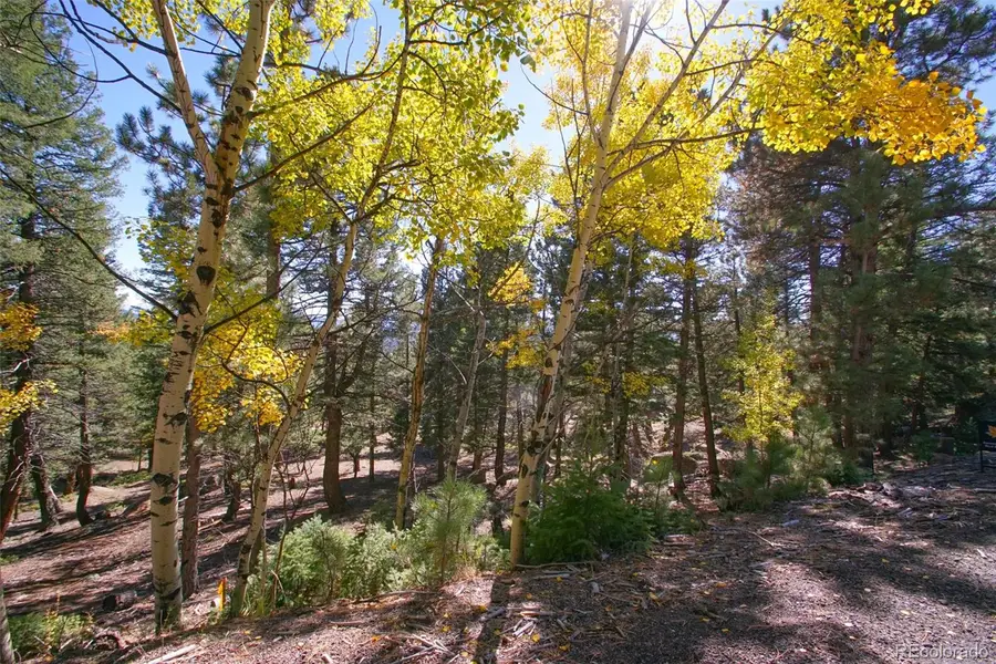 30402 Kings Valley E, Conifer, CO 80433 - #2
