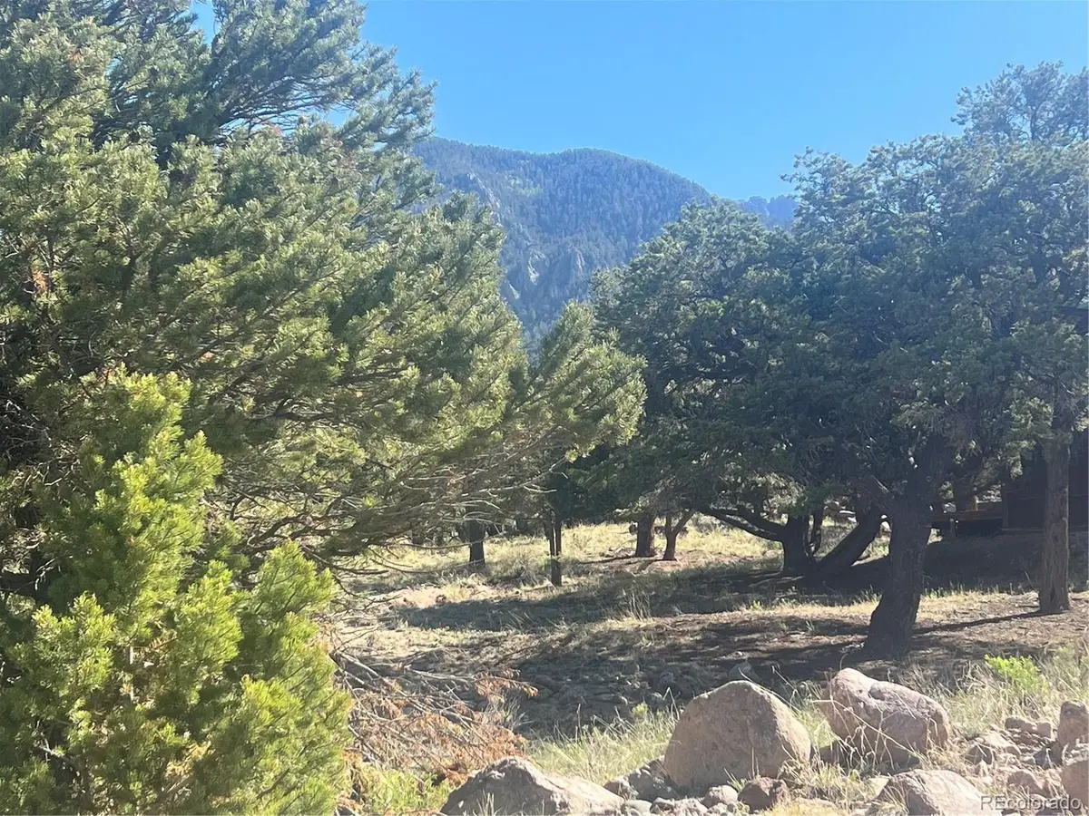 286 Palomino Way, Crestone, CO 81131 - #1
