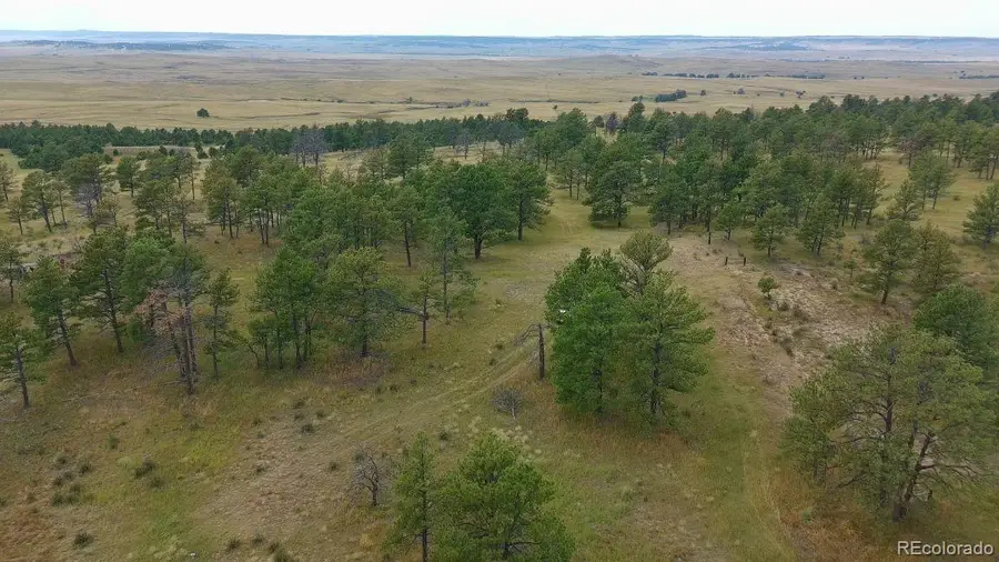 0001 County Road 93, Calhan, CO 80808 - #2