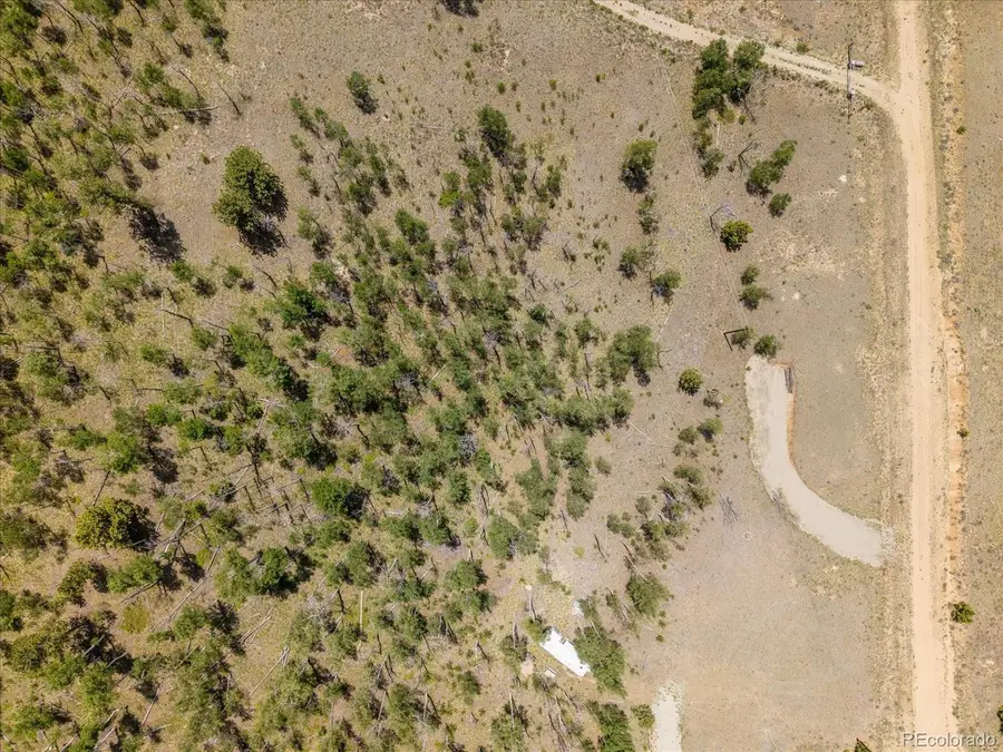 40 Brahma Court, Hartsel, CO 80449 - #3