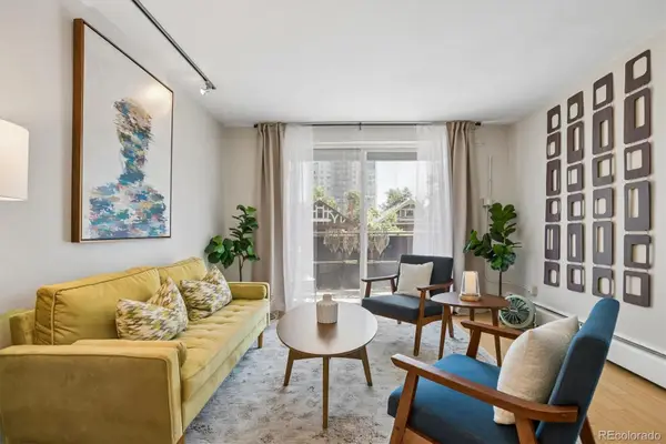 271 N Grant Street #202, Denver, CO 80203