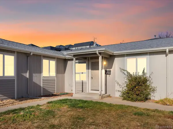 1247 Raleigh Street, Denver, CO 80204