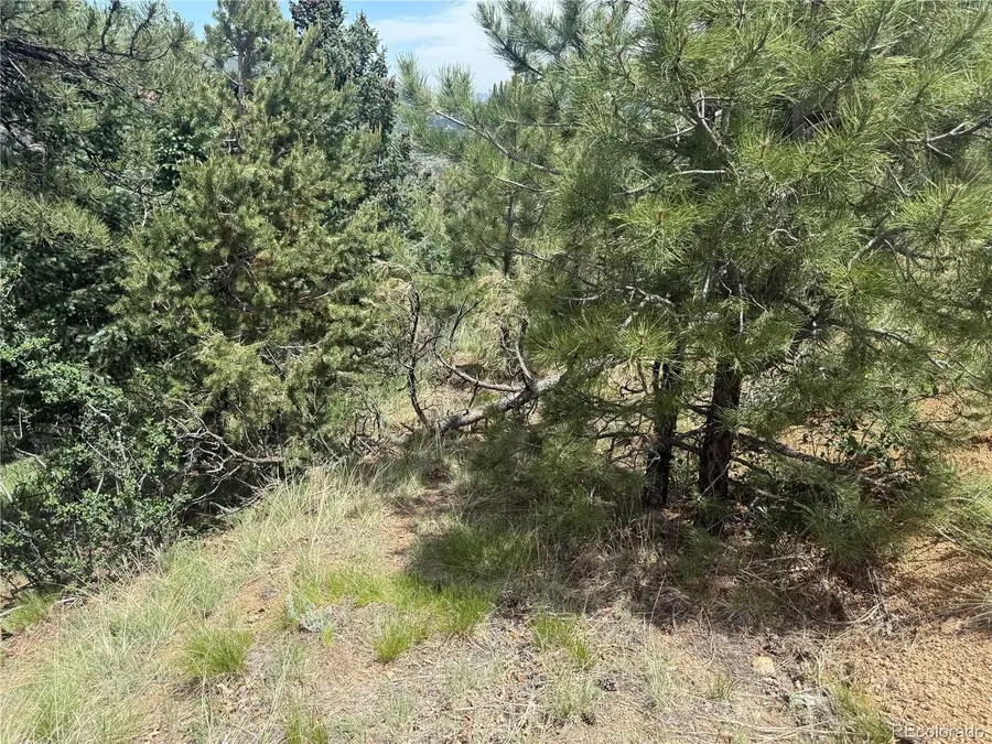 358 Sugarloaf, Manitou Springs, CO 80829 - #2