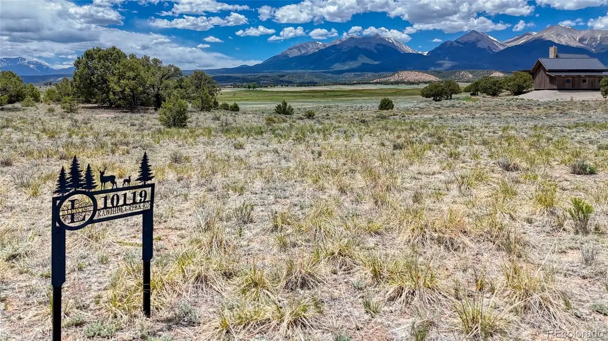 10119 Rawhide Creek Road, Nathrop, CO 81236 - #1