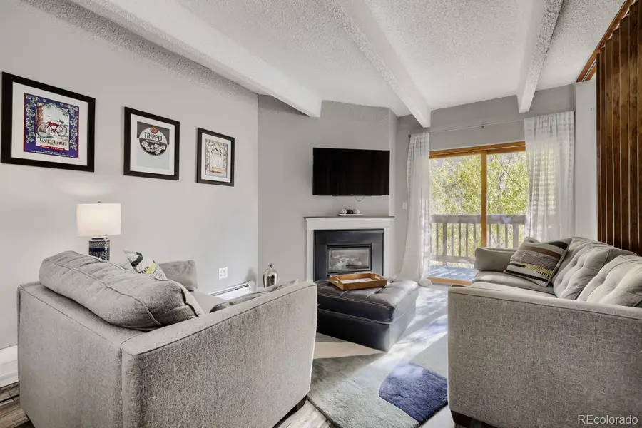 200 Granite Street #318, Frisco, CO 80443 - #3