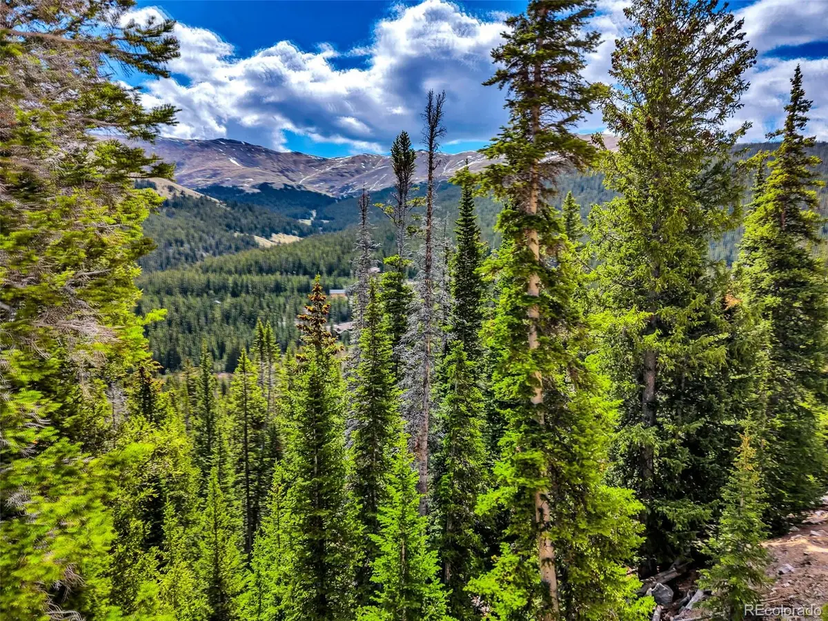 105 & 71 Quandary View Ln, Breckenridge, CO 80424 - #1