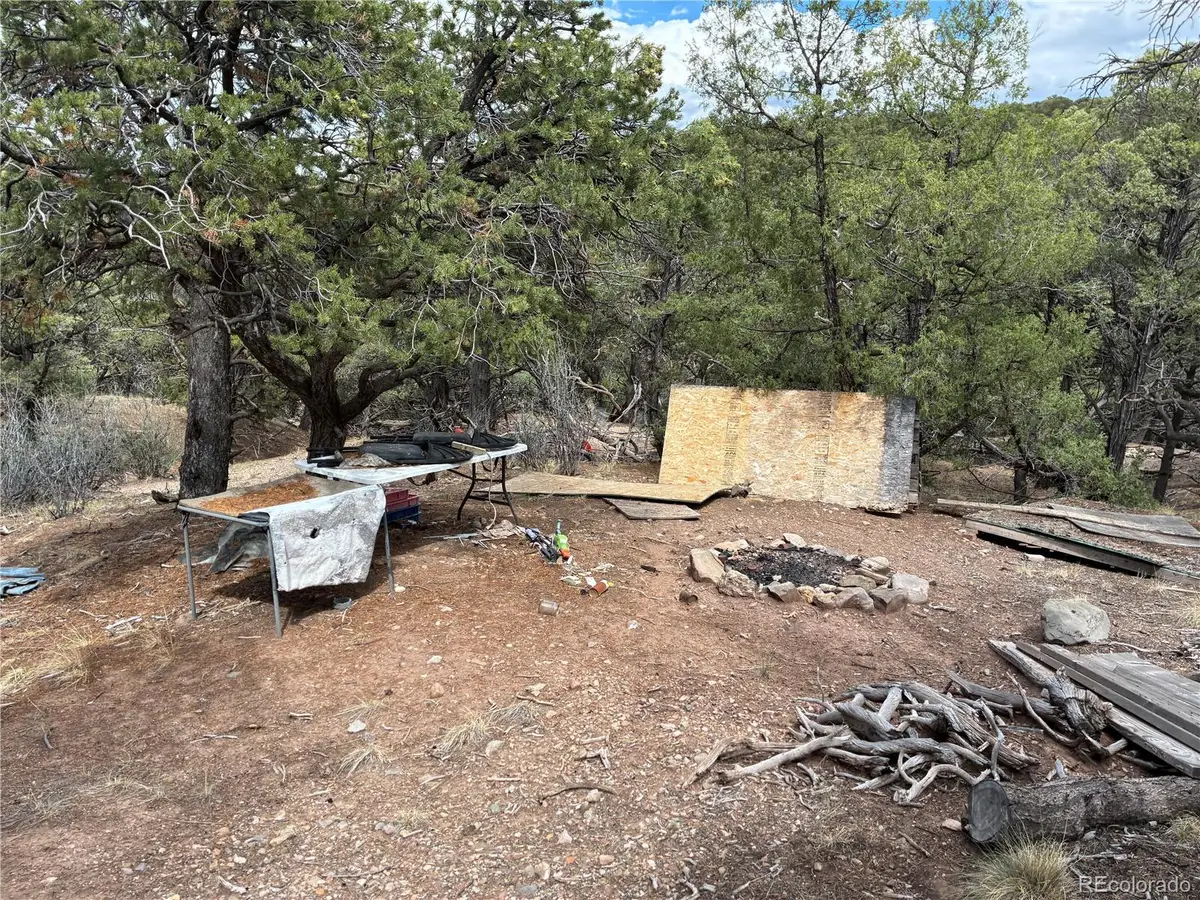 LOT 7908 Blaine Road, Fort Garland, CO 81133 - #1