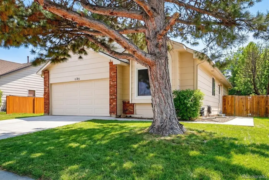 125 N Holcomb Street, Castle Rock, CO 80104 - #3