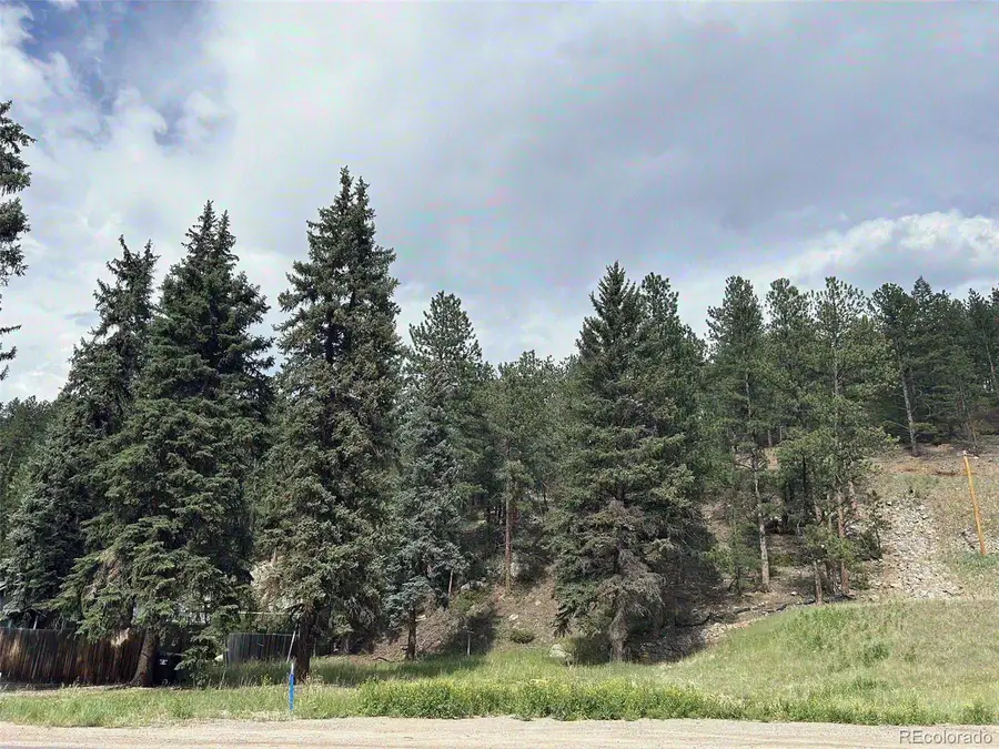 5190 County Road 73, Evergreen, CO 80439 - #2