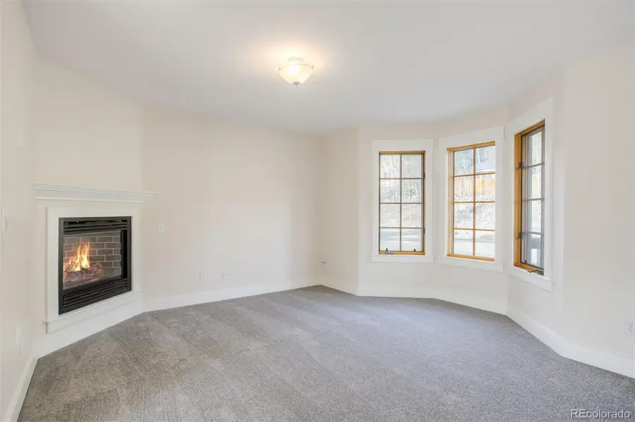 372 N Oak Street, Alma, CO 80420 - #3