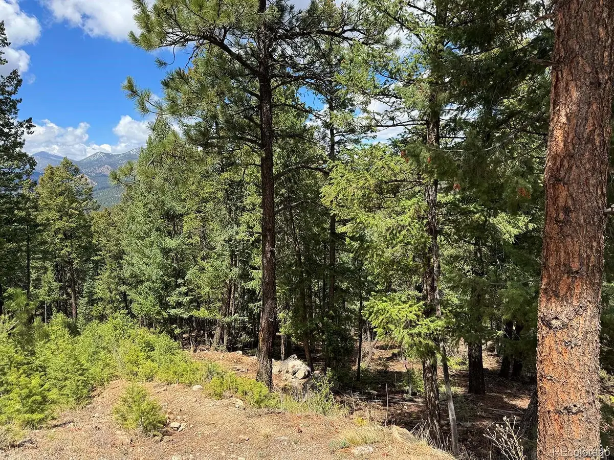 Liberty Drive, Evergreen, CO 80439 - #1
