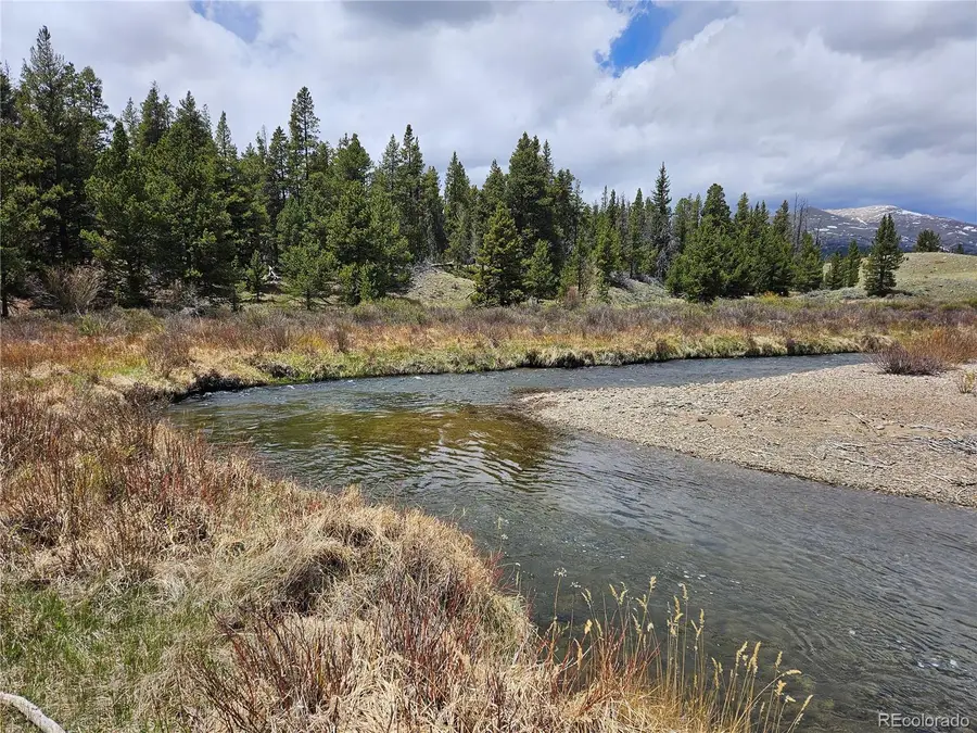 700 Looney Lane, Alma, CO 80420 - #2