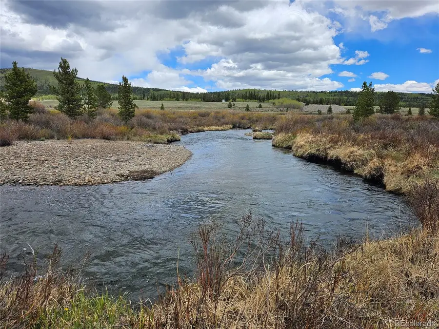 700 Looney Lane, Alma, CO 80420 - #3