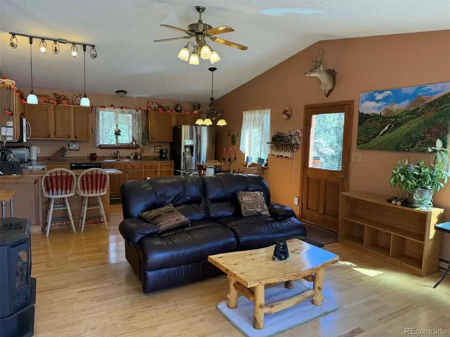 33623 Smith Road, Pine, CO 80470 - #2