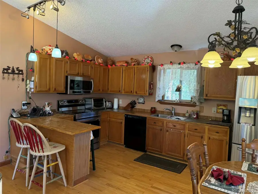 33623 Smith Road, Pine, CO 80470 - #3