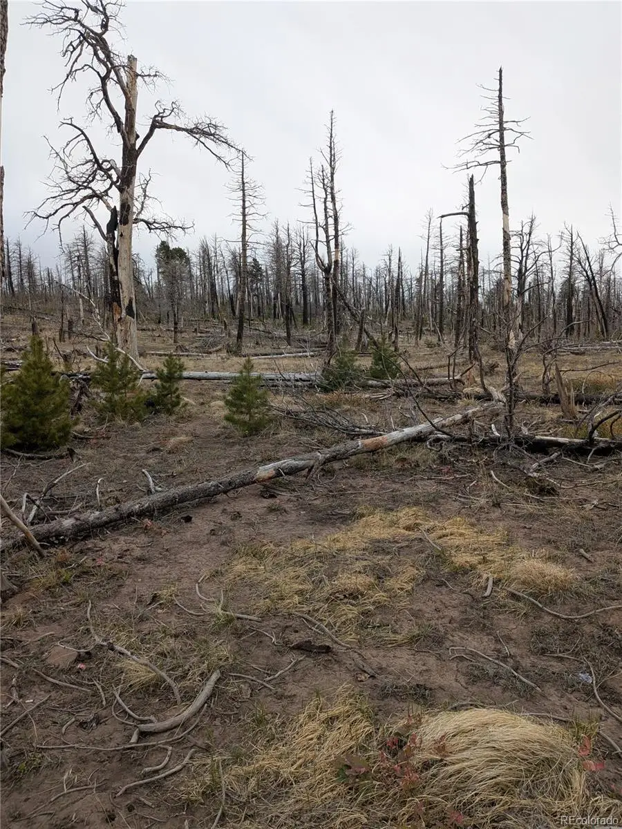 Lot 2296 Wohlstetter Loop, Fort Garland, CO 81133 - #1