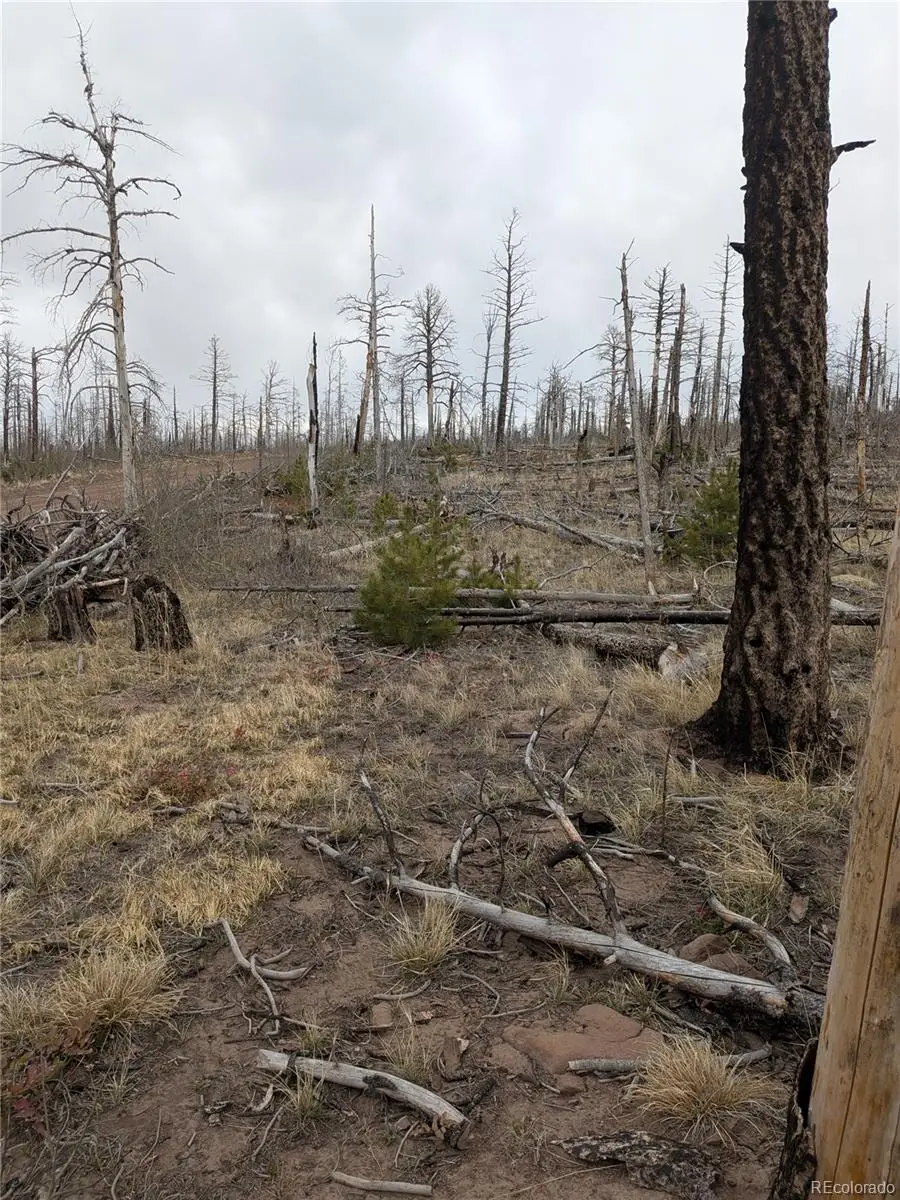 Lot 2296 Wohlstetter Loop, Fort Garland, CO 81133 - #2