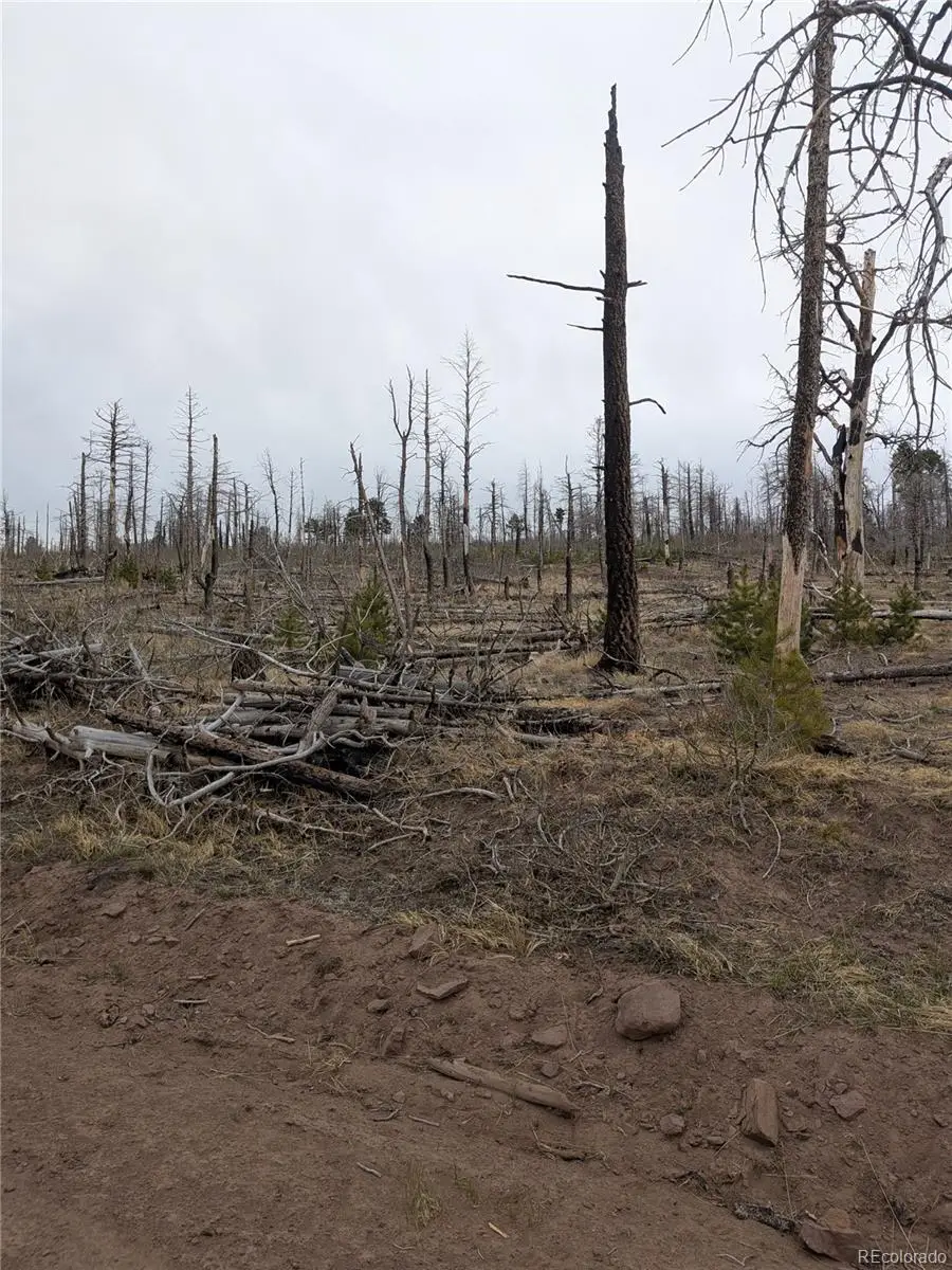 Lot 2296 Wohlstetter Loop, Fort Garland, CO 81133 - #3