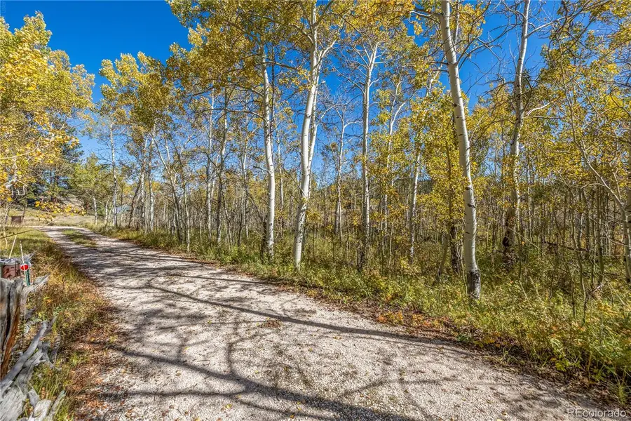 Lot 2a & 2b, Red Feather Lakes, CO 80545 - #2