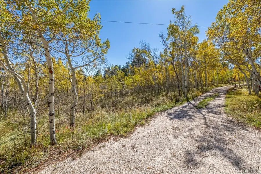 Lot 2a & 2b, Red Feather Lakes, CO 80545 - #3