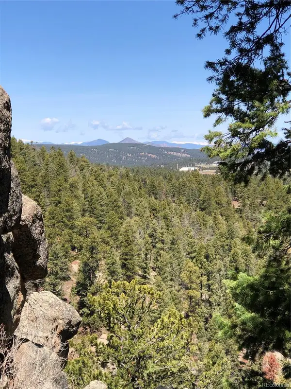 213 Osoeola Road, Woodland Park, CO 80863