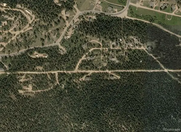 293 Lakeview Road, Bailey, CO 80421