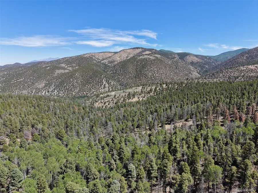 6031 Bruce Road, Fort Garland, CO 81133 - #2