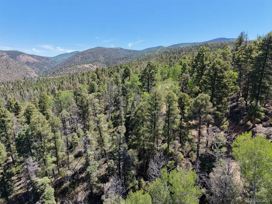 6031 Bruce Road, Fort Garland, CO 81133 - #3