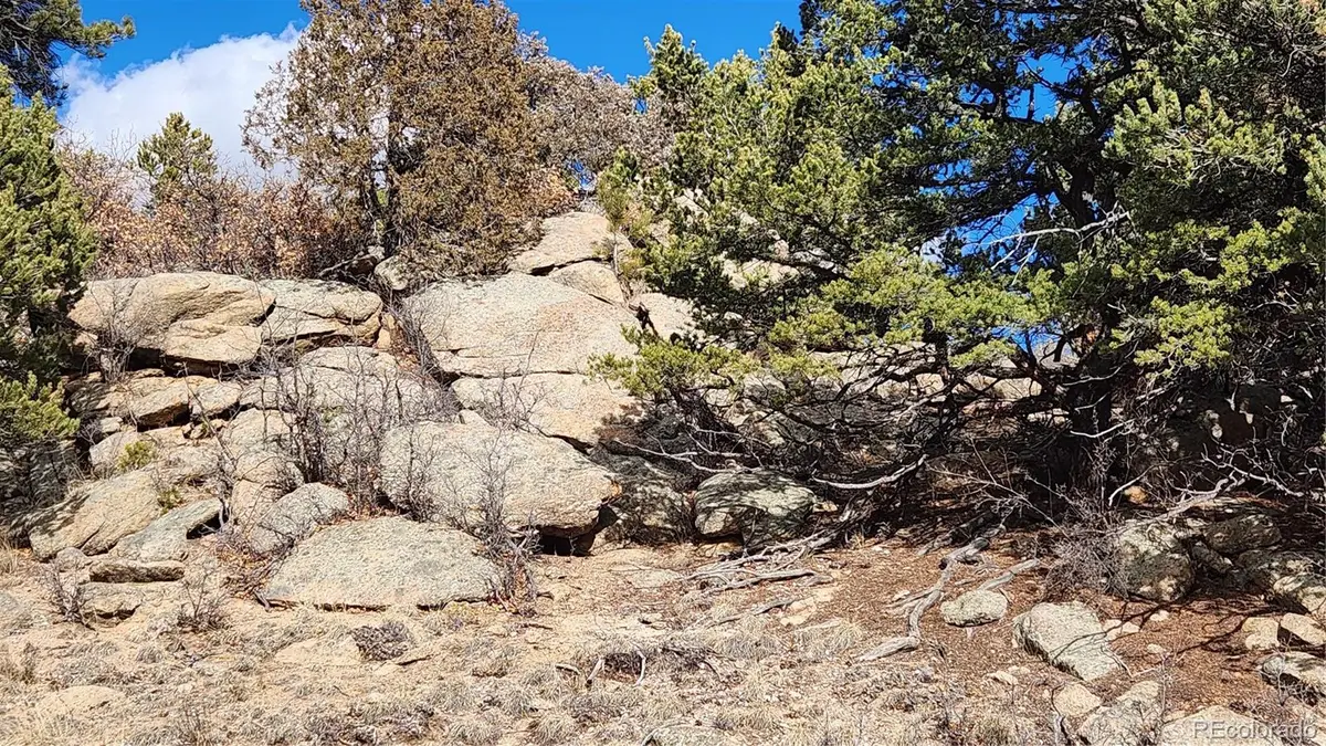 47 White Cloud Drive, Cotopaxi, CO 81223 - #1