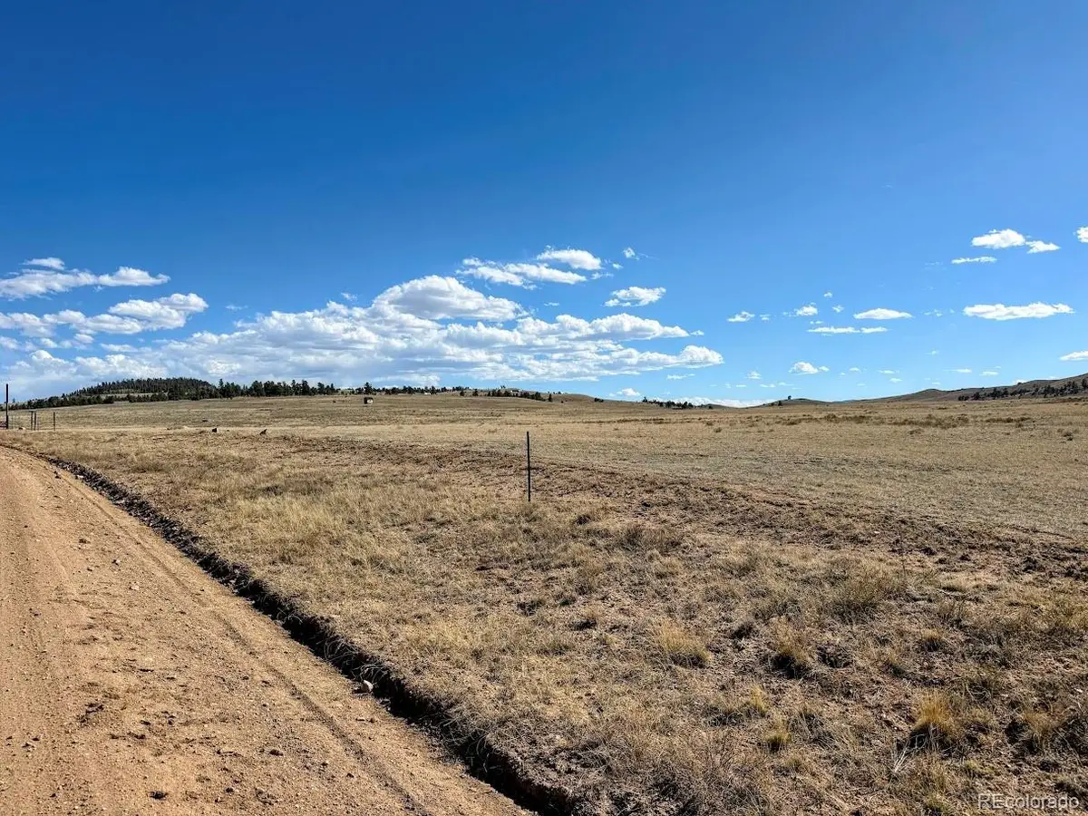 0000 Chickasaw Road, Hartsel, CO 80449 - #1