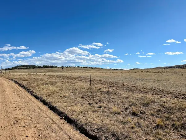 0000 Chickasaw Road, Hartsel, CO 80449