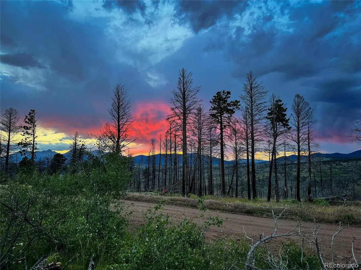LOT 591 Leslie Loop, Fort Garland, CO 81133 - Image #1