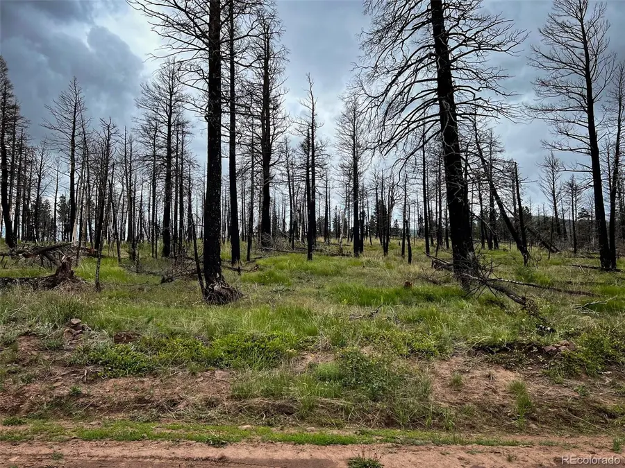 LOT 591 Leslie Loop, Fort Garland, CO 81133 - Image #2