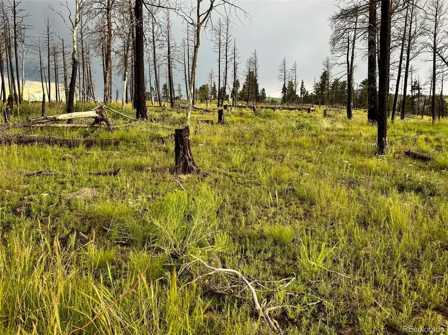 LOT 591 Leslie Loop, Fort Garland, CO 81133 - Image #3