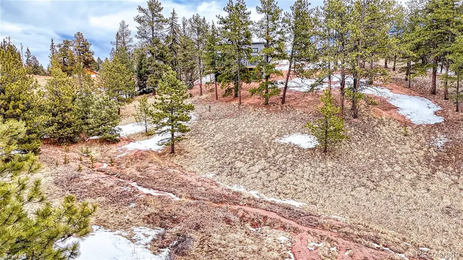 54 Southgate Road, Florissant, CO 80816 - Image #3