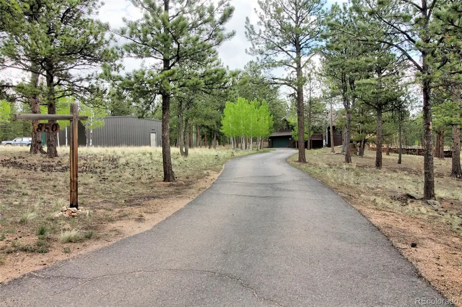 850 Hangmans Road, Bailey, CO 80421 - #3