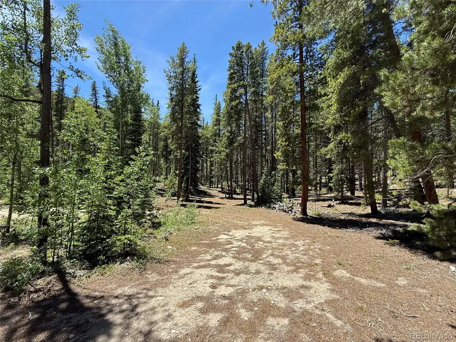 19 Rainbow Road, Idaho Springs, CO 80452 - #2
