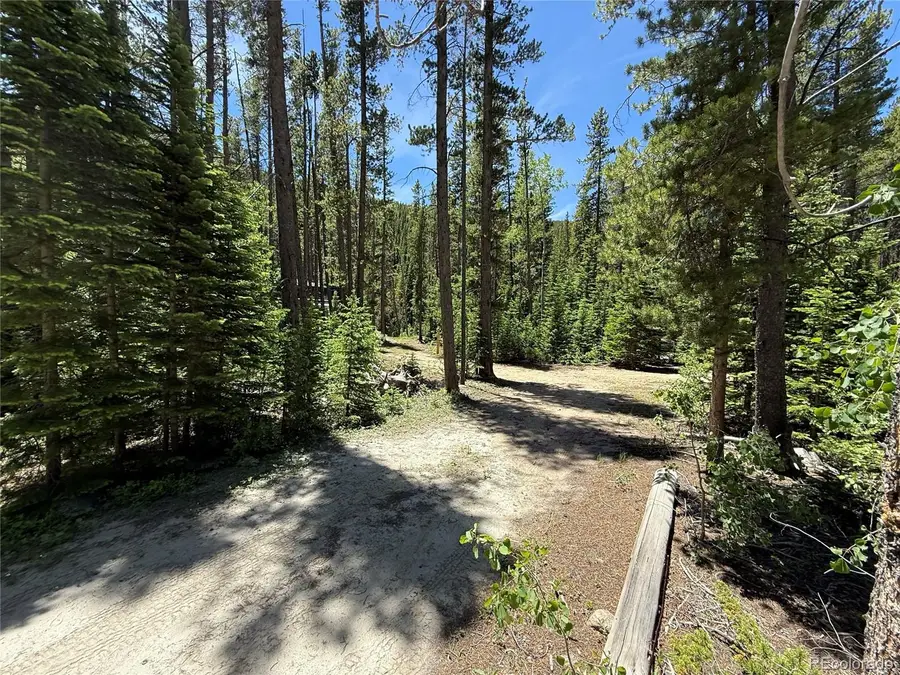 19 Rainbow Road, Idaho Springs, CO 80452 - #3