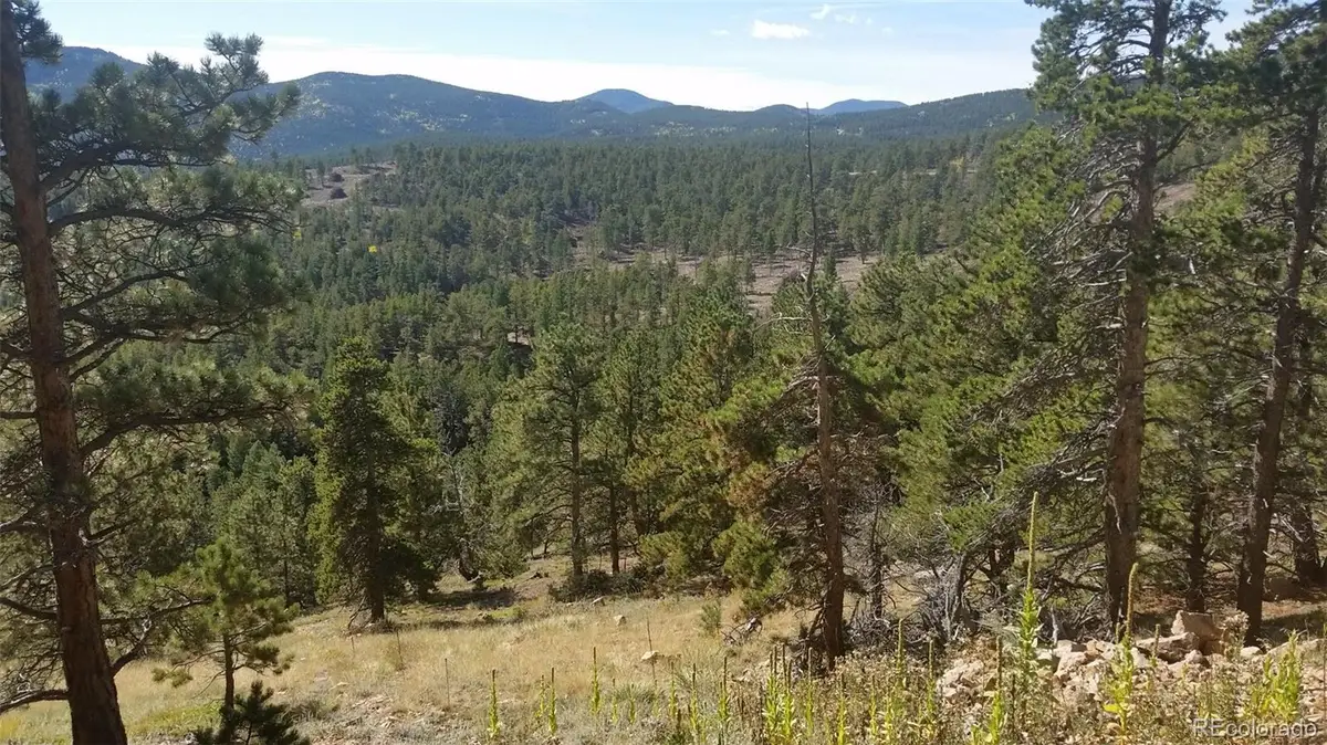 32778 Janelle Lane, Golden, CO 80403 - #1